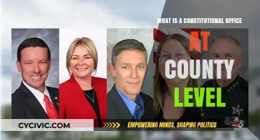Understanding County Constitutional Officers: Their Roles and Responsibilities