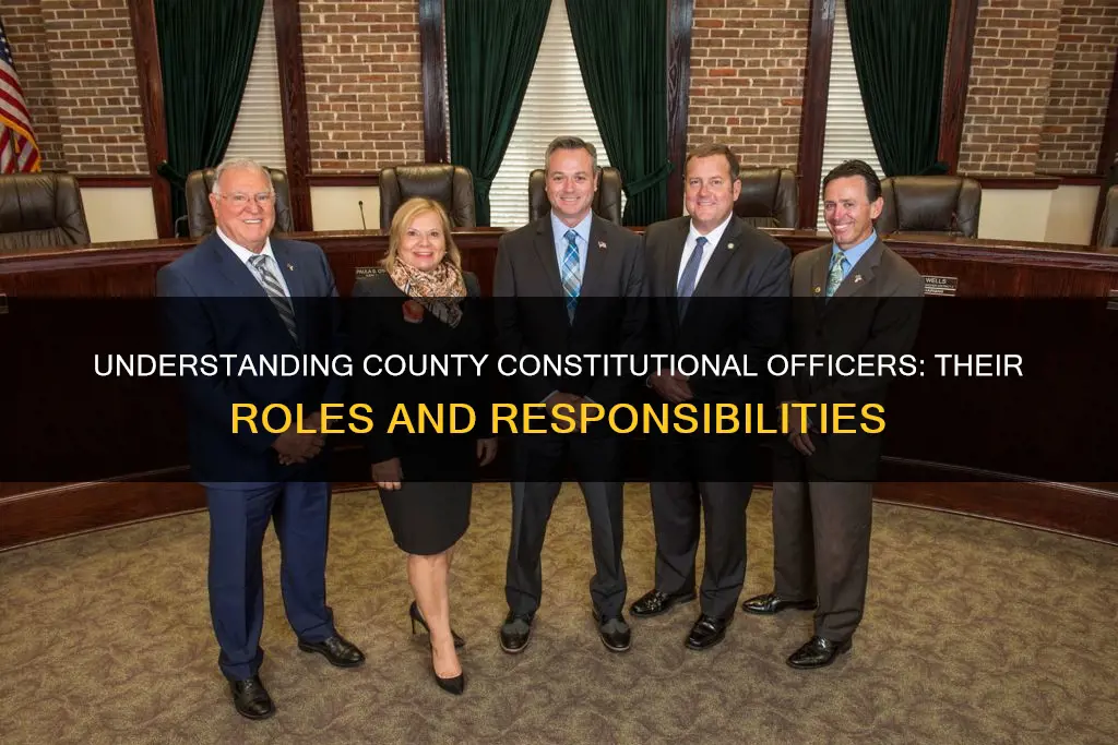what is a constitutional office at county level