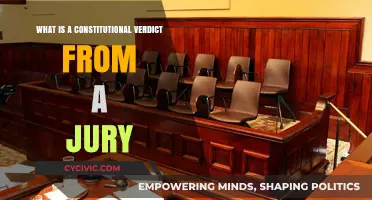 Understanding Jury's Constitutional Verdict