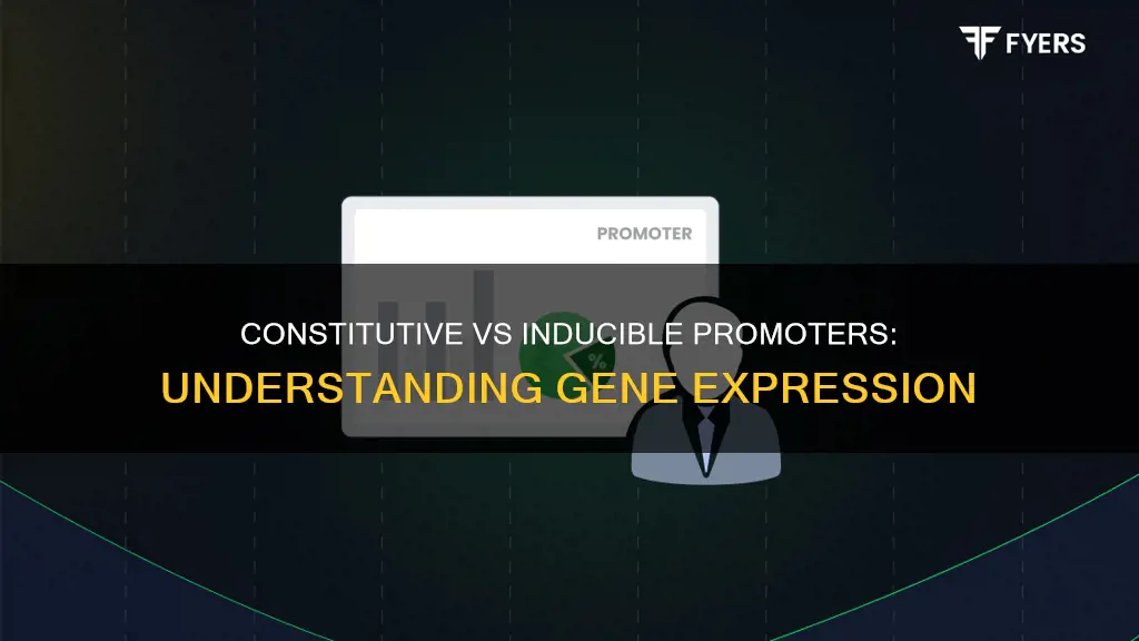 what is a constitutive promoter vs inducible promoter