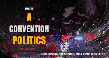 Understanding Convention Politics: Key Concepts and Real-World Implications