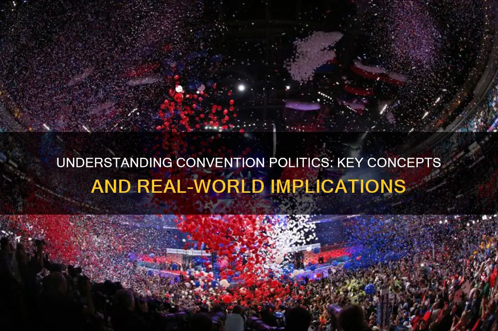 what is a convention politics