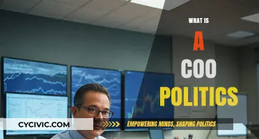 Understanding COO Politics: Corporate Power, Influence, and Global Strategies