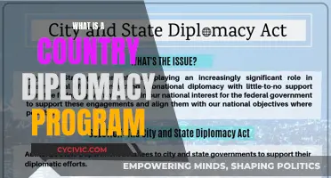 Diplomacy Programs: A Country's Soft Power Strategy