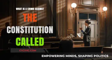 The Crime of Treason: Betraying the Constitution