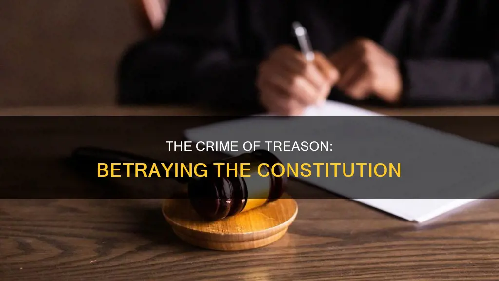 what is a crime against the constitution called