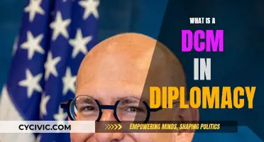 The Vital Role of a DCM in Diplomacy