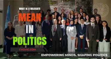 Understanding Political Delegates: Their Role and Importance Explained