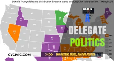 Understanding Delegate Politics: Roles, Functions, and Impact on Elections