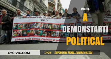 Understanding Political Demonstrations: Purpose, Impact, and Historical Significance