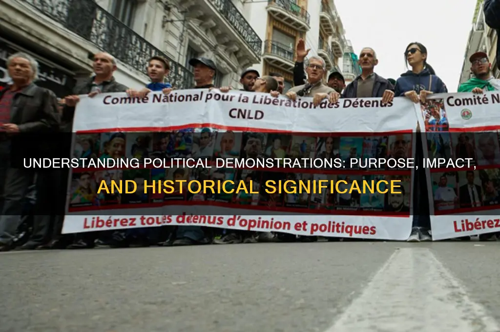 what is a demonstartion political