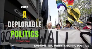 Understanding Deplorable Politics: Origins, Impact, and Societal Implications