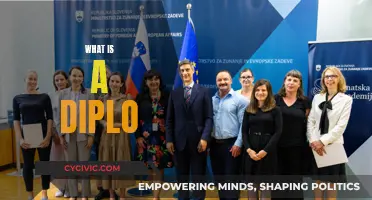 Understanding Diplo: The Multi-Talented Artist and His Work