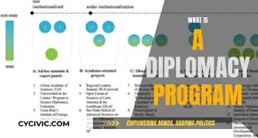 Diplomacy Programs: Building Bridges, Shaping Global Relations