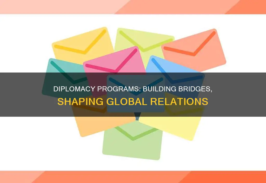 what is a diplomacy program