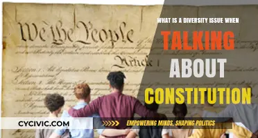 Diversity and the Constitution: An Issue of Inclusion