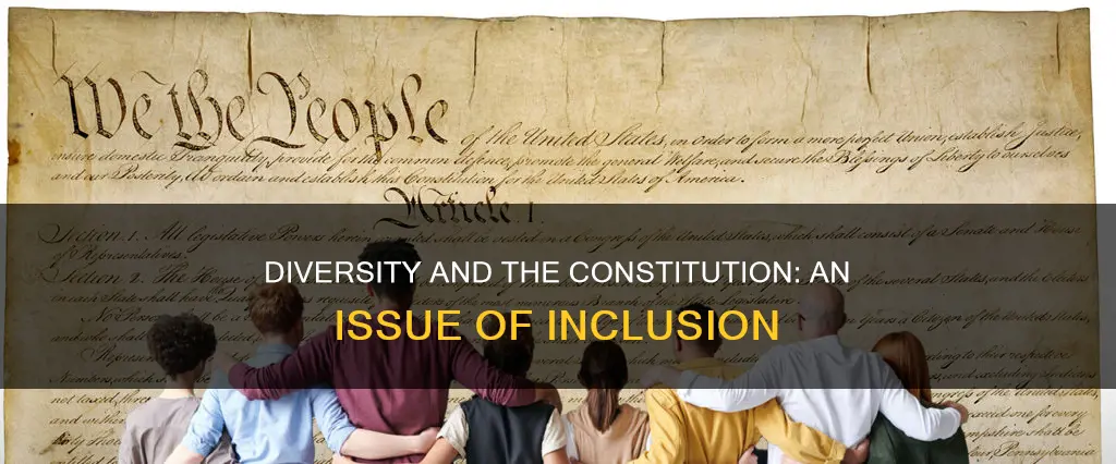 what is a diversity issue when talking about constitution