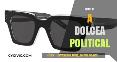 Understanding Dolcea Politics: A Comprehensive Guide to Its Core Principles