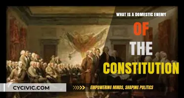 Domestic Enemies: Undermining the Constitution from Within