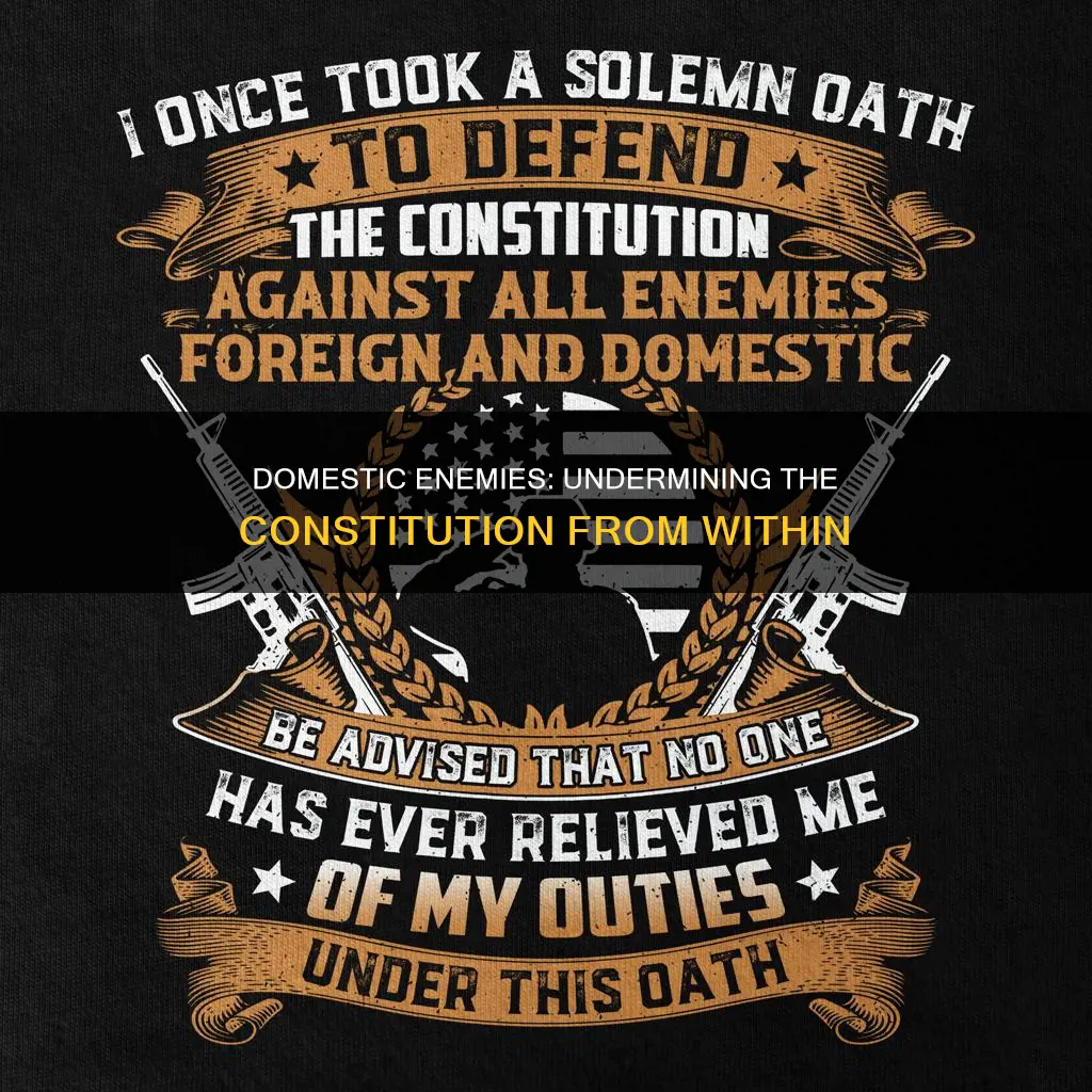 what is a domestic enemy of the constitution