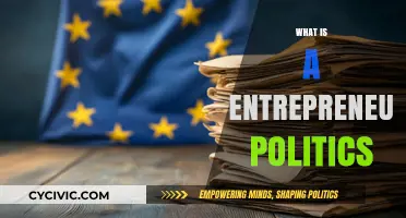 Entrepreneurial Politics: Redefining Governance Through Innovation and Risk-Taking