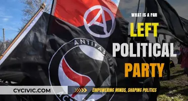 Understanding Far-Left Politics: Ideologies, Goals, and Global Movements