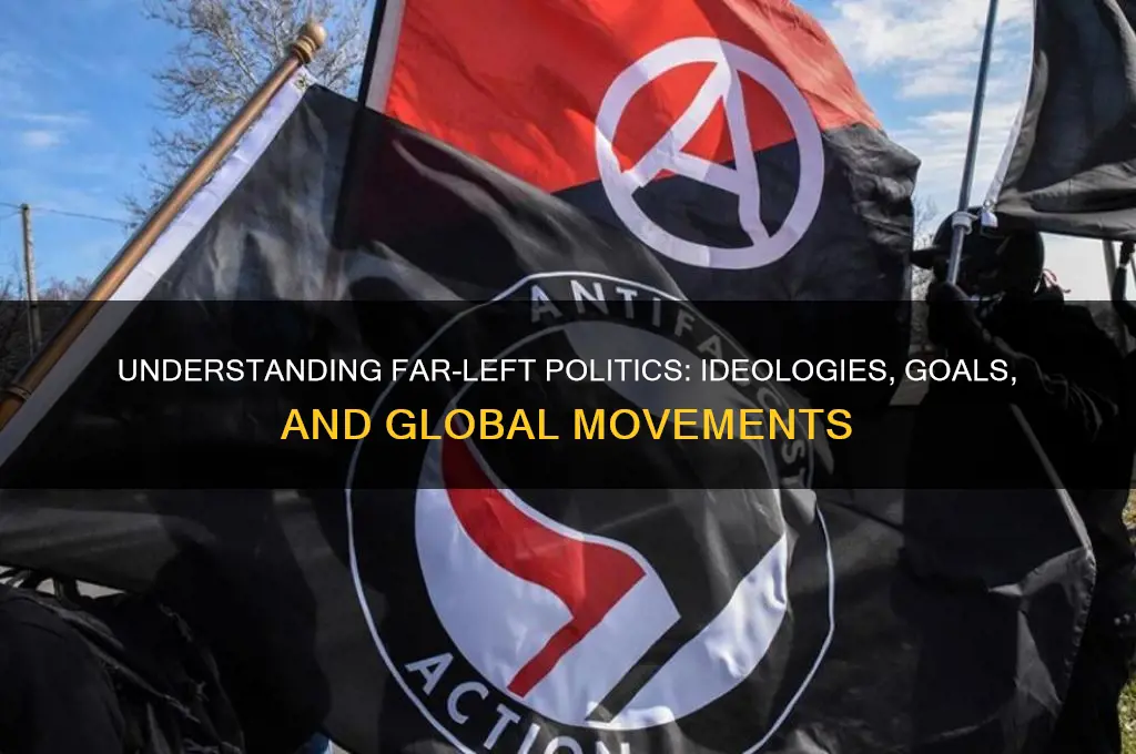 what is a far left political party
