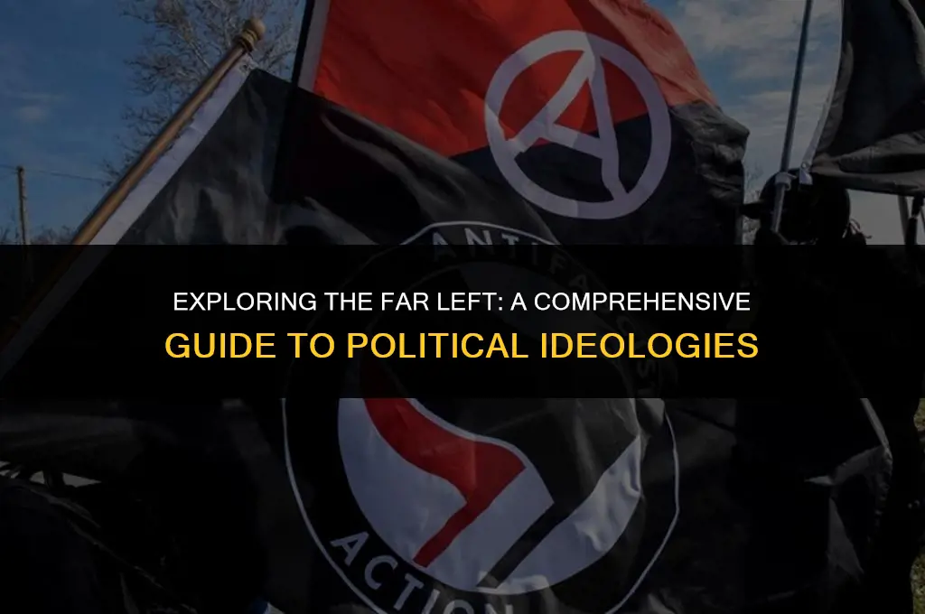 what is a far left political view