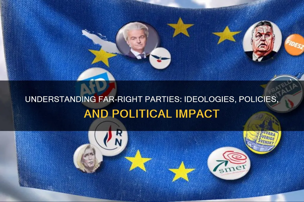 what is a far right party in politics