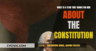 Hamilton's Constitution Fear: Tyranny of the Majority