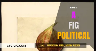 Understanding the Concept of a Fig Political: Definition and Implications