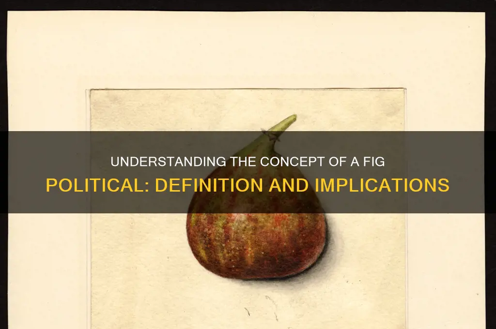 what is a fig political