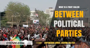 Political Party Battles: Understanding the Term for Their Clashes