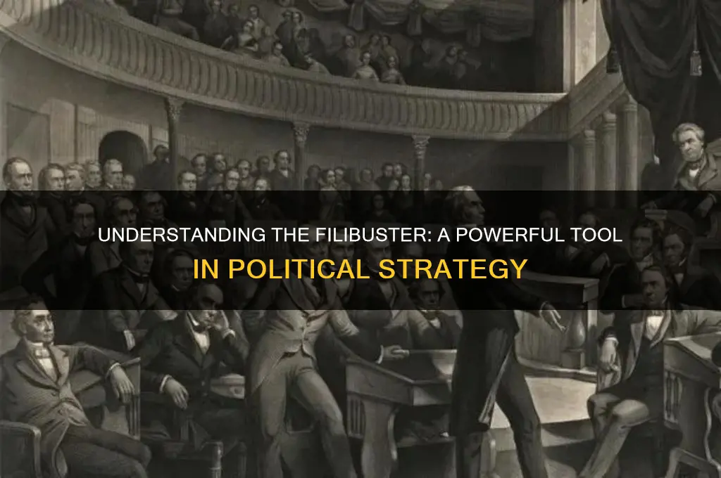 what is a filibuster politics