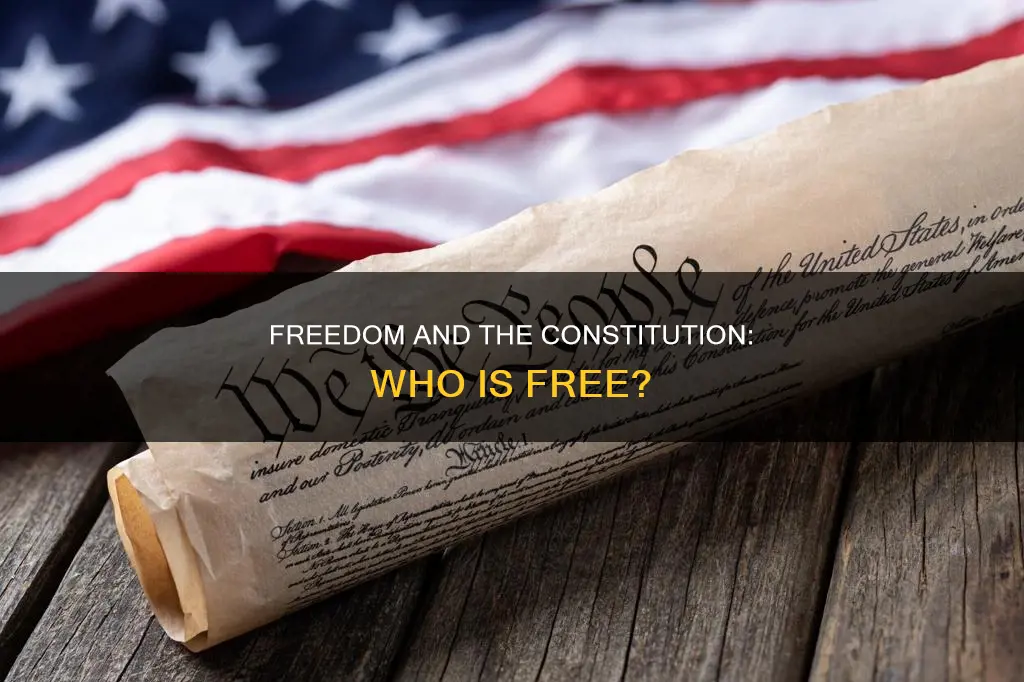 what is a free person in the constitution