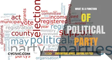 Understanding the Core Function of Political Parties in Democracy
