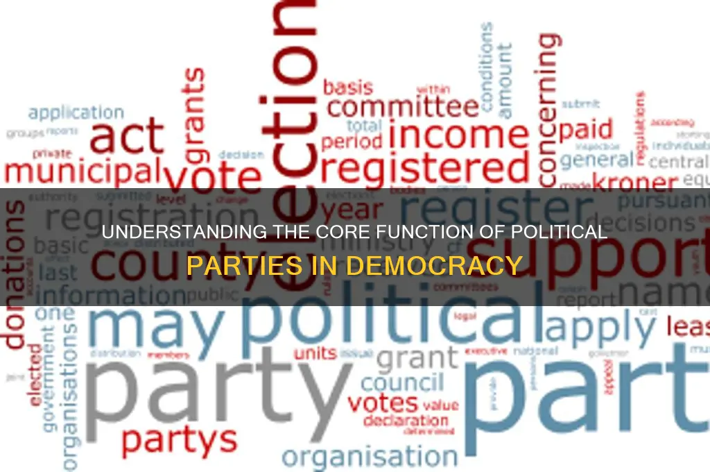 what is a function of political party