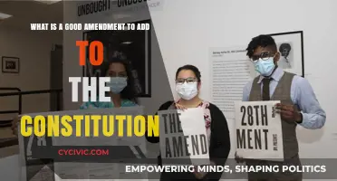 Amending the Constitution: A Necessary Evolution