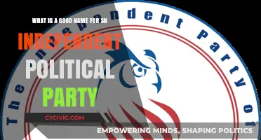 Choosing the Perfect Name for an Independent Political Party