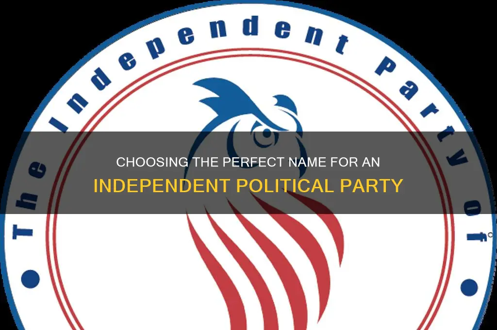 what is a good name for sn independent political party