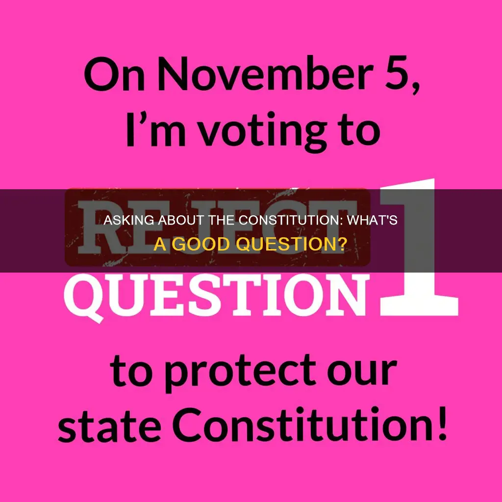 what is a good question to ask about the constitution