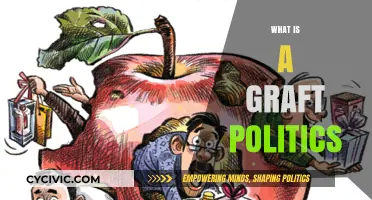 Understanding Graft Politics: Corruption, Power, and Hidden Transactions Explained