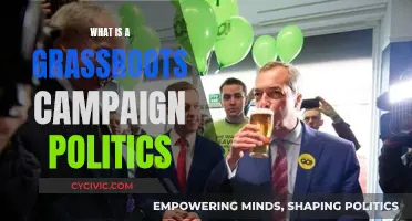 Grassroots Campaigns: Mobilizing Political Power from the Ground Up