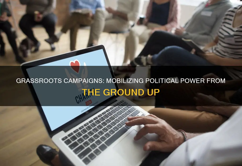 what is a grassroots campaign politics