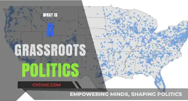 Understanding Grassroots Politics: Empowering Communities from the Ground Up