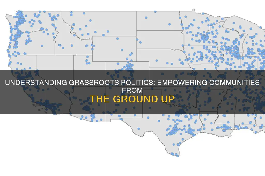 what is a grassroots politics