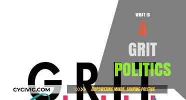 Understanding Grit Politics: Resilience, Tenacity, and Its Impact on Governance