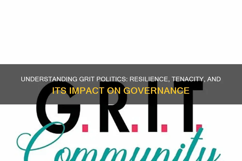 what is a grit politics