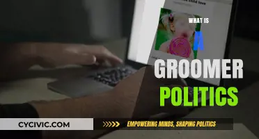 Understanding Groomer Politics: Origins, Implications, and Societal Impact Explained