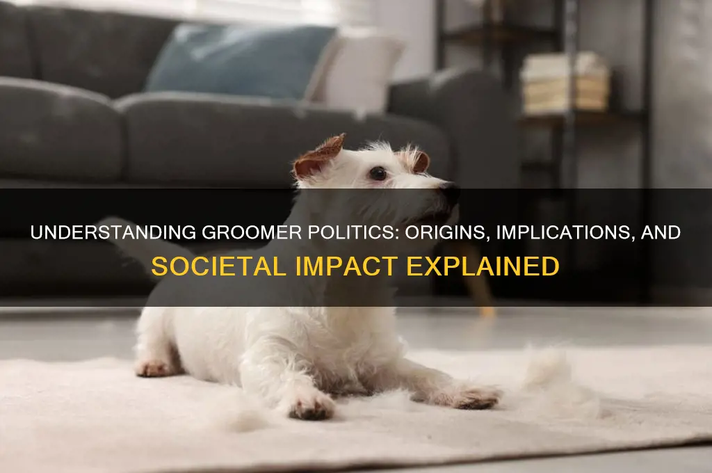 what is a groomer politics